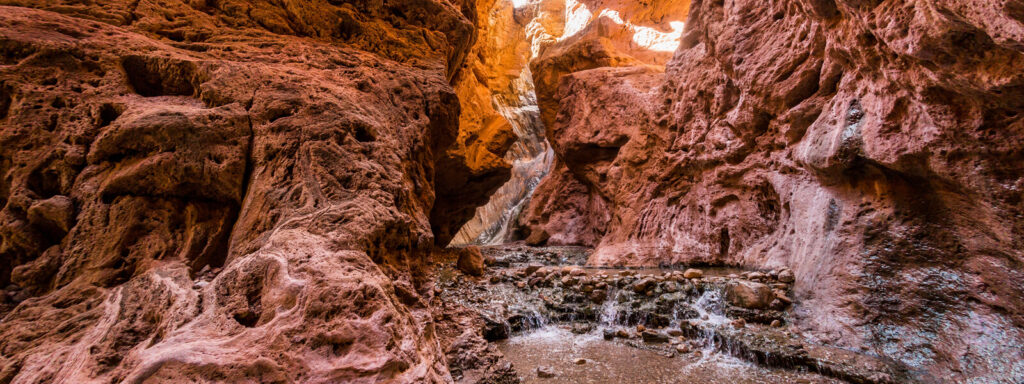Rafting sur le fleuve Colorado avec les Hualapai River Runners Peach Springs AZ