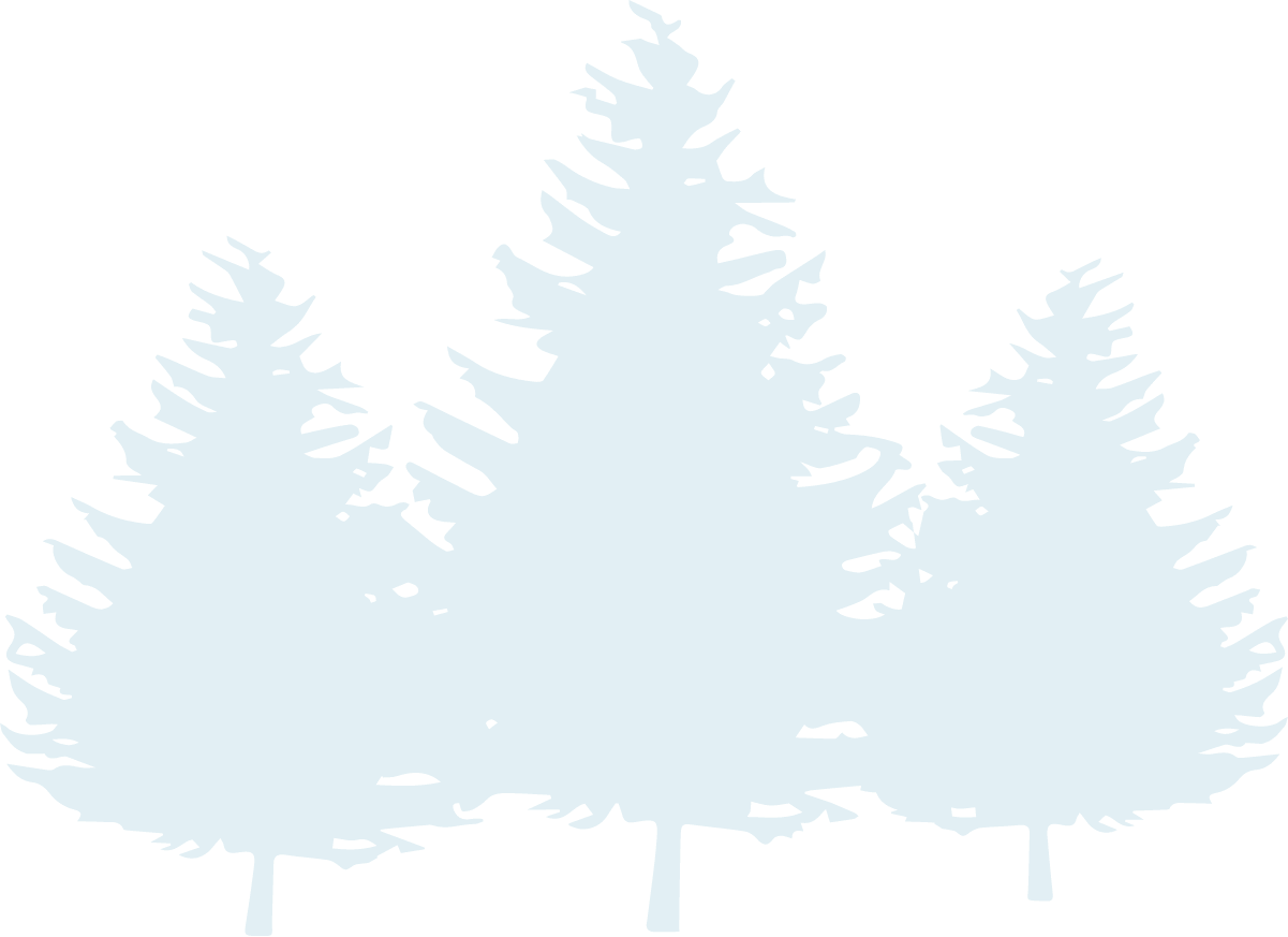 Passerelle aérienne Skywalk