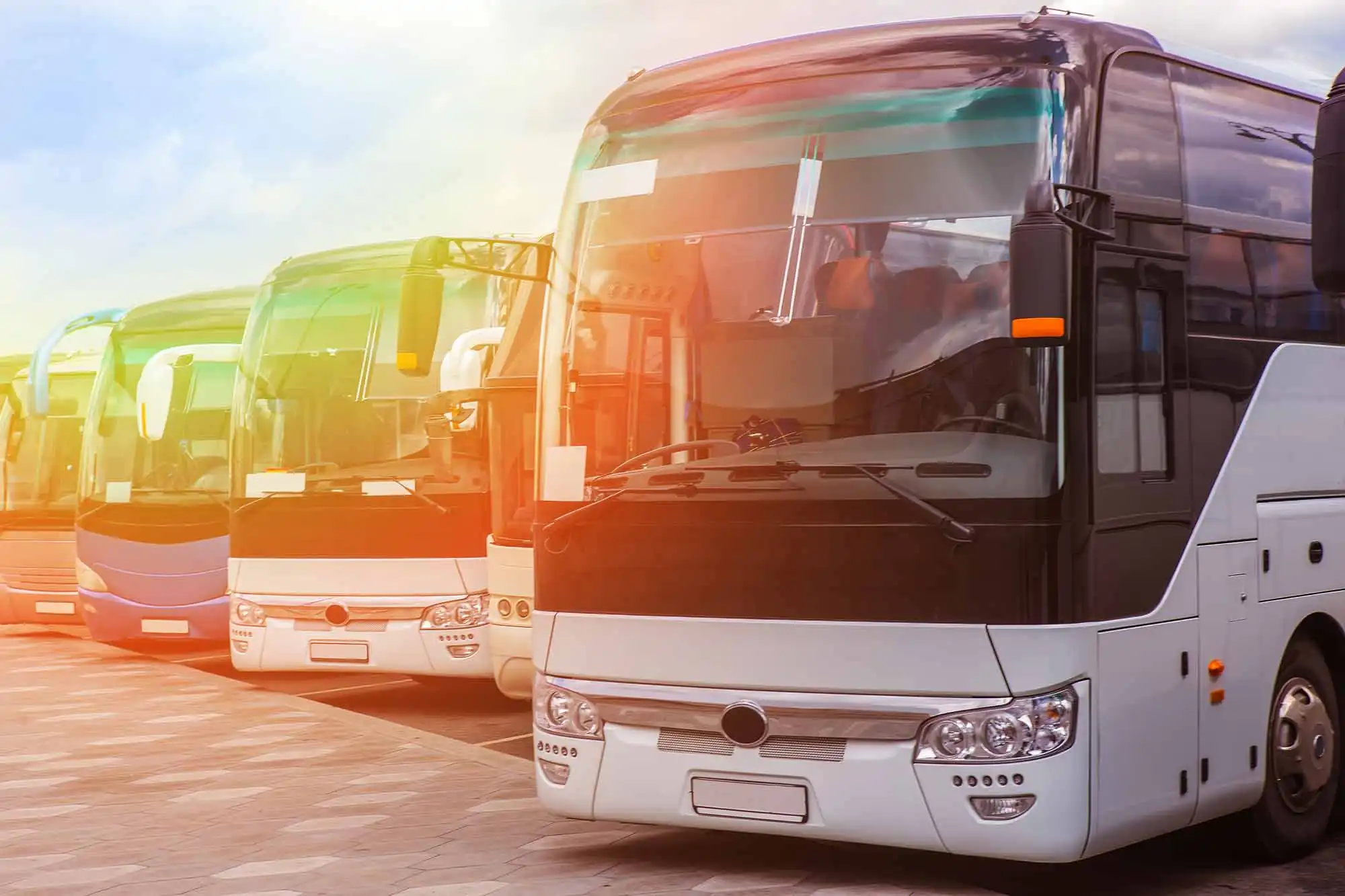 Multiple white, blue, and green buses parked outdoors under a sunny sky.